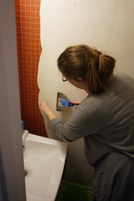 Boy scouts, walk 367