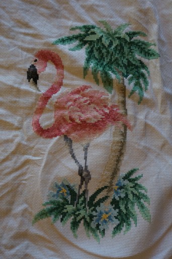 Flamingo; Reston 004